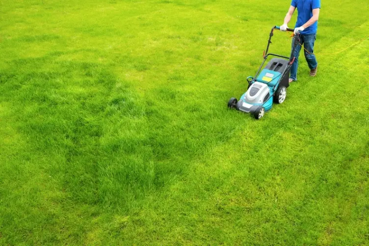 Affordable Grass Cutting Services in Youngstown, OH Affordable Grass Cutting Services in Youngstown, OH