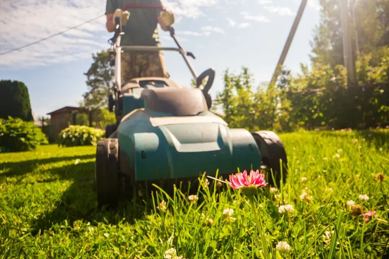Expert Grass Cutting Services in Youngstown, OH Expert Grass Cutting Services in Youngstown, OH