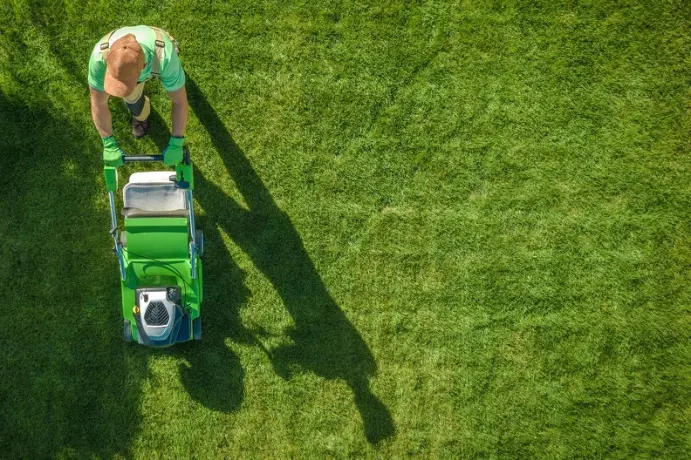 How Often Should You Cut Your Grass in Youngstown, OH How Often Should You Cut Your Grass in Youngstown, OH