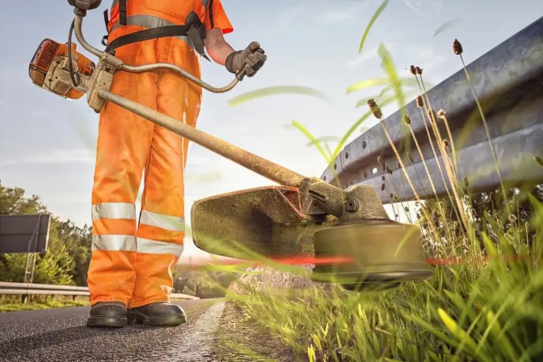 How Often Should You Cut Your Grass in Youngstown, OH How Often Should You Cut Your Grass in Youngstown, OH