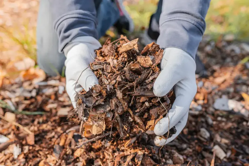 How To Mulch Around Trees in Youngstown, OH How To Mulch Around Trees in Youngstown, OH
