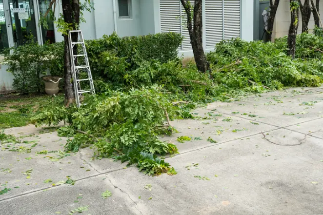 How To Remove A Tree Stump in Youngstown, OH How To Remove A Tree Stump in Youngstown, OH