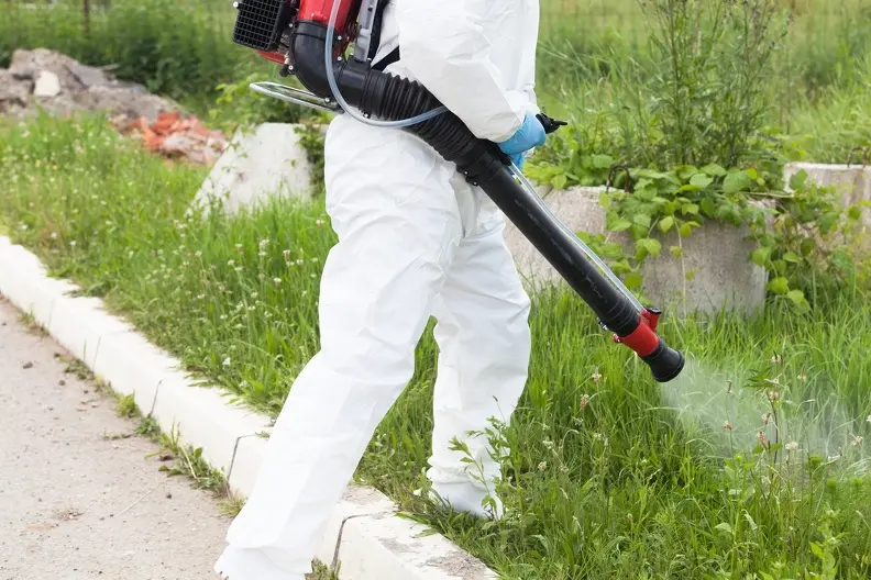 How To Remove Weeds From A Lawn in Youngstown, OH How To Remove Weeds From A Lawn in Youngstown, OH