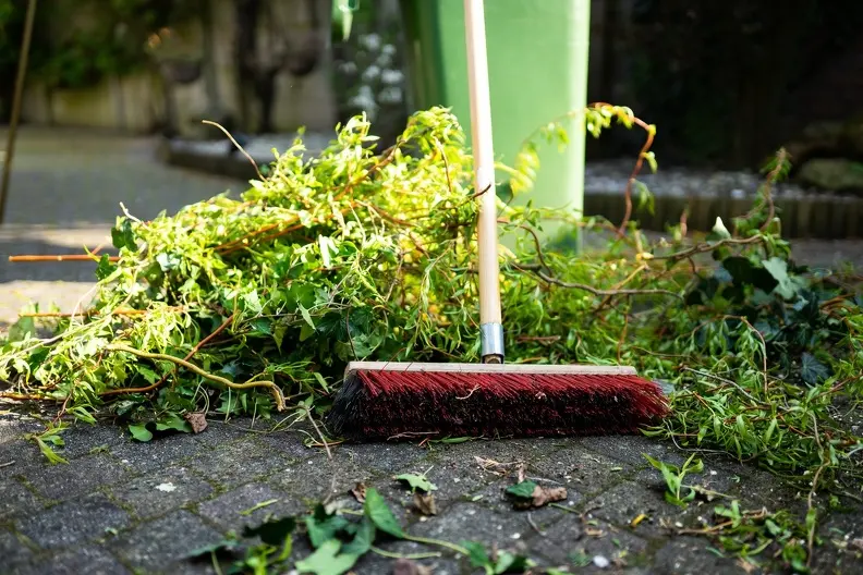 How To Remove Weeds From A Lawn in Youngstown, OH How To Remove Weeds From A Lawn in Youngstown, OH