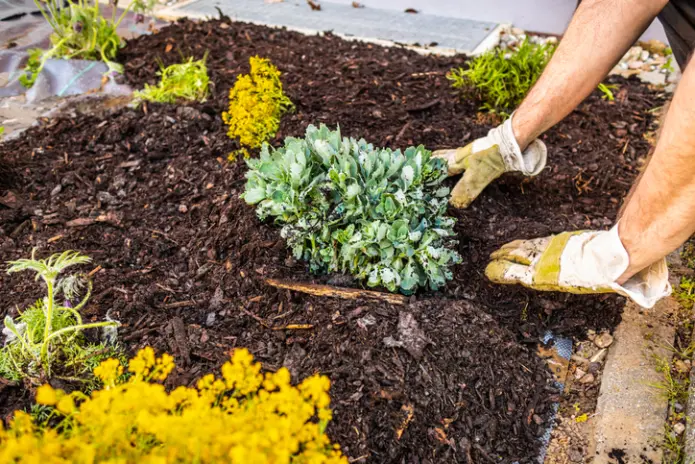 Professional Mulching in Youngstown, OH Professional Mulching in Youngstown, OH