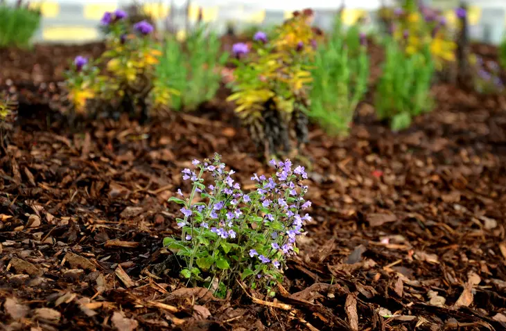 Reliable Mulching in Youngstown, OH Reliable Mulching in Youngstown, OH