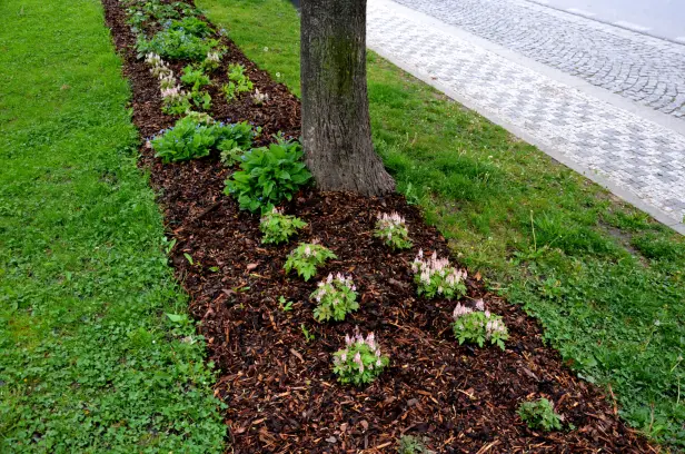What Is Mulching in Youngstown, OH What Is Mulching in Youngstown, OH